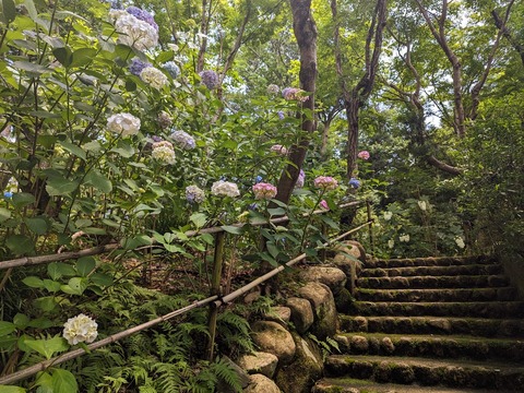 11.下山3