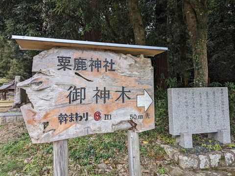02.御神木案内板