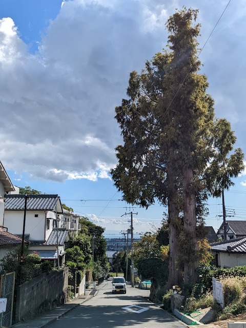 越木岩神社