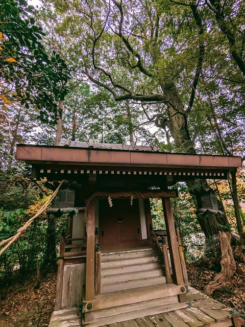 38.三光社6