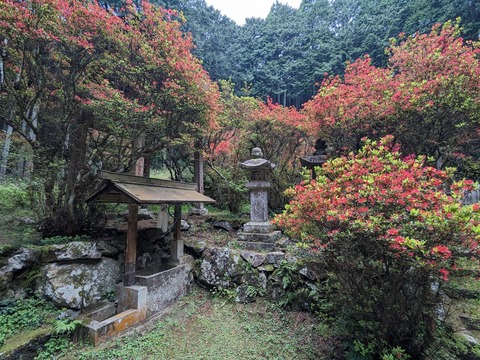 拝殿の左手