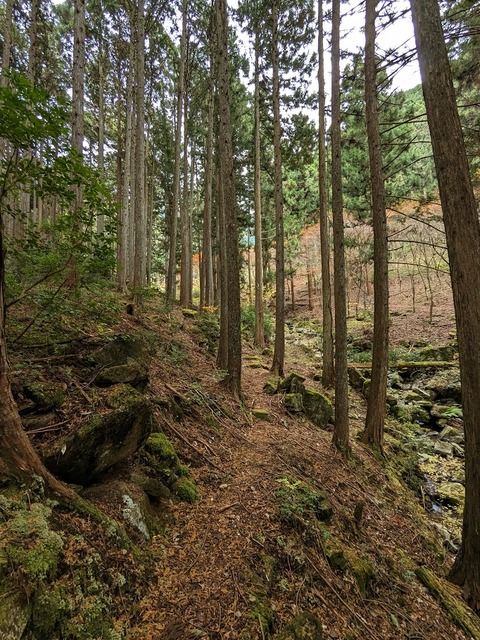 38.山のエリア11