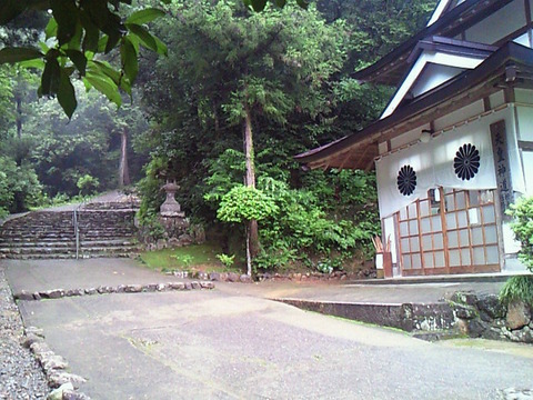 SBCA0035