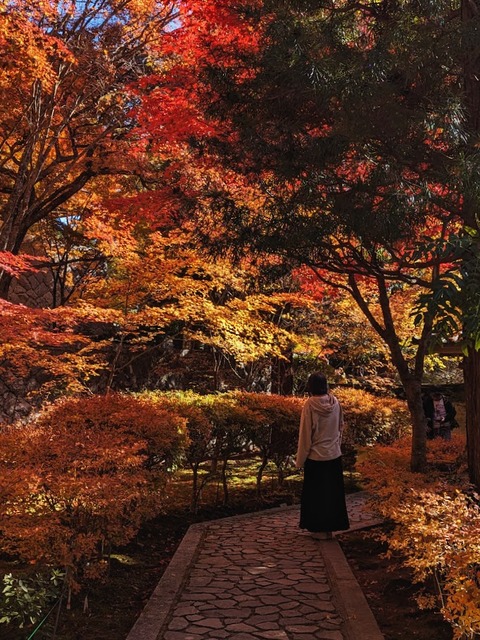 09.本坊4