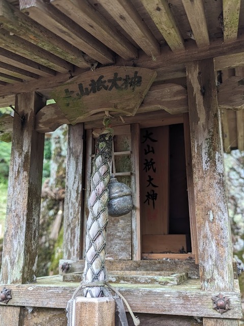 大山杭大神
