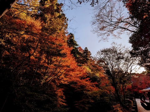 26.帰路4