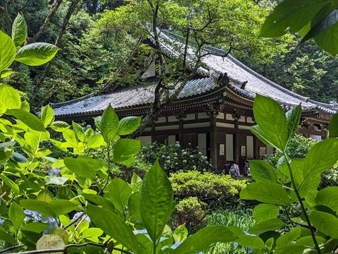 本堂4