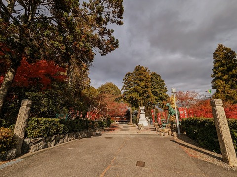 48.金剛寺本堂とある門