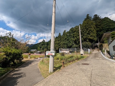 13.日間神社