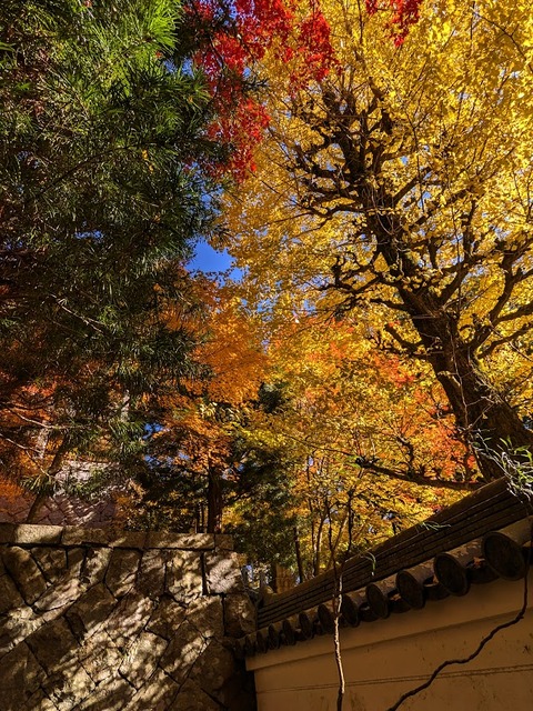 09.本坊7