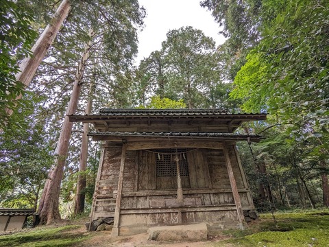 12.天満宮4