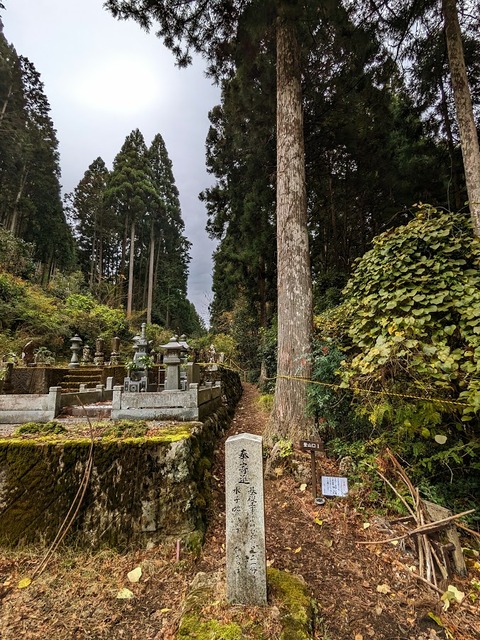 21.登山道2