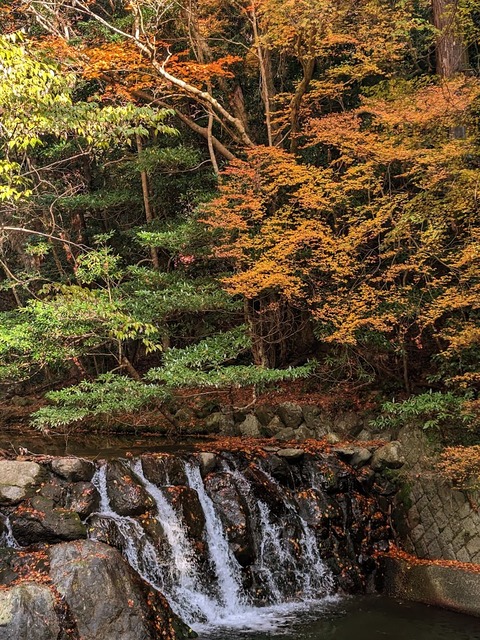 16.箕面川と紅葉