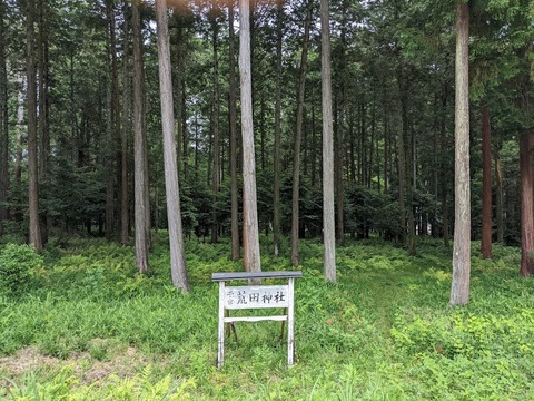荒田神社2