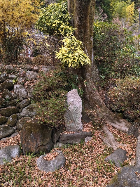 28.芳泉庭6