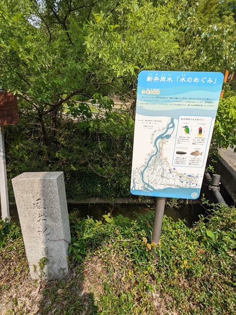 風土期の道