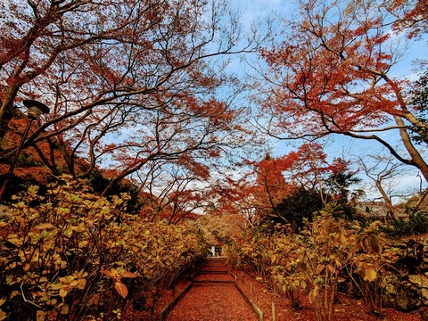 02.参道