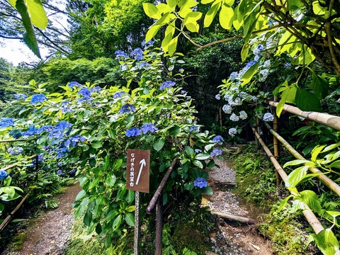 なげきの展望台へ