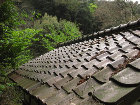 画像 022