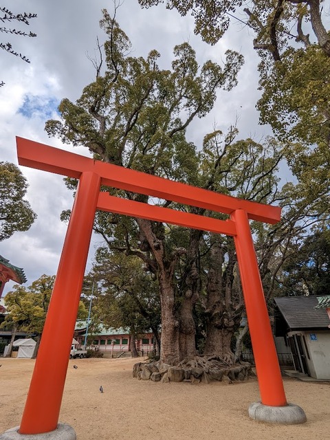 東鳥居2