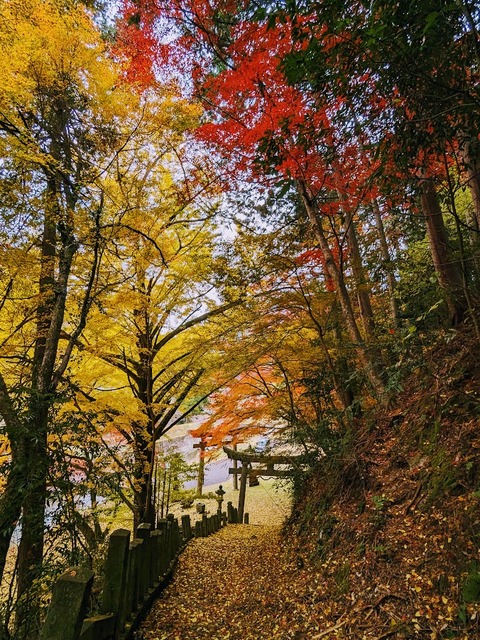 17.下山2