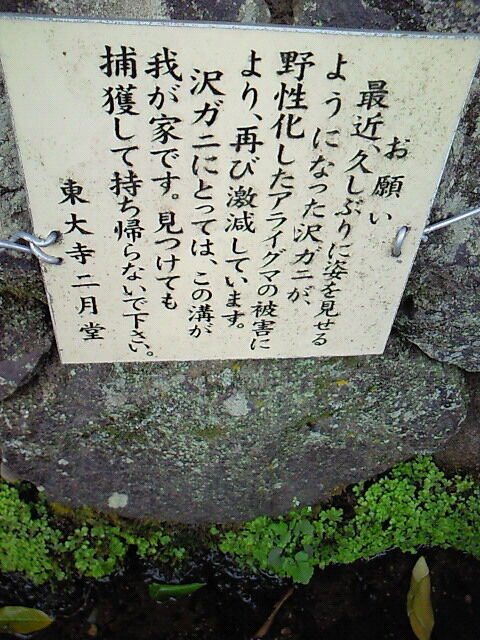 二月堂お願い