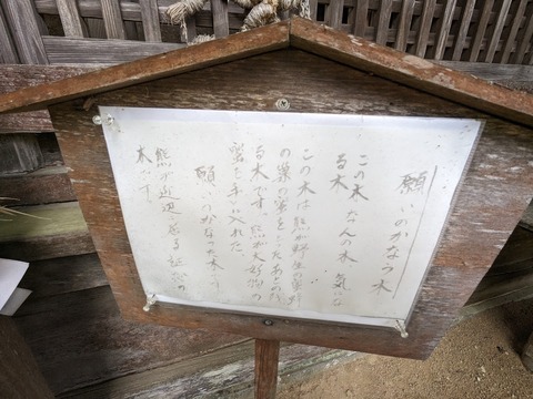 08.願いのかなう木