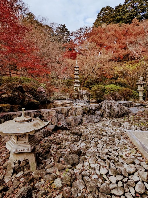 28.芳泉庭2