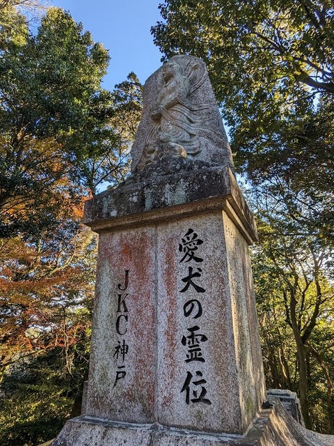 境内の南側2