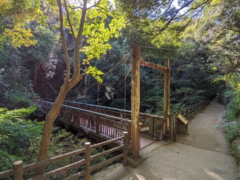 猿のかずら橋