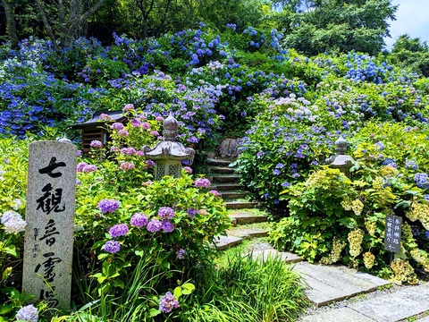 七観音霊場