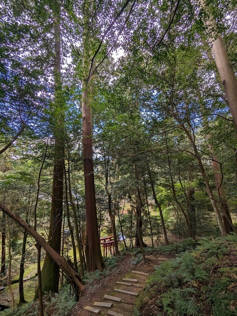 21.稲荷神社5