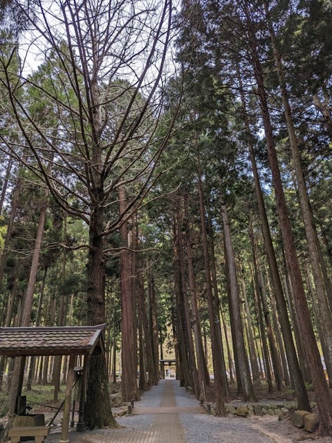 帰ろう