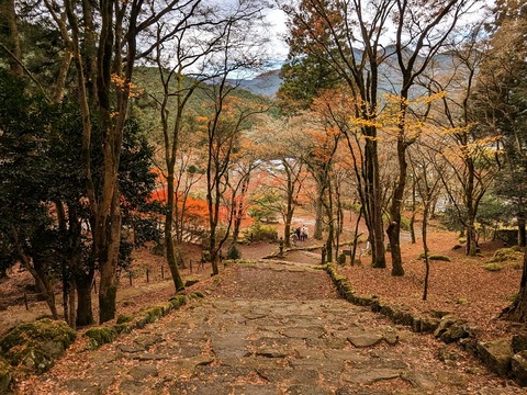 16.山門より参道を