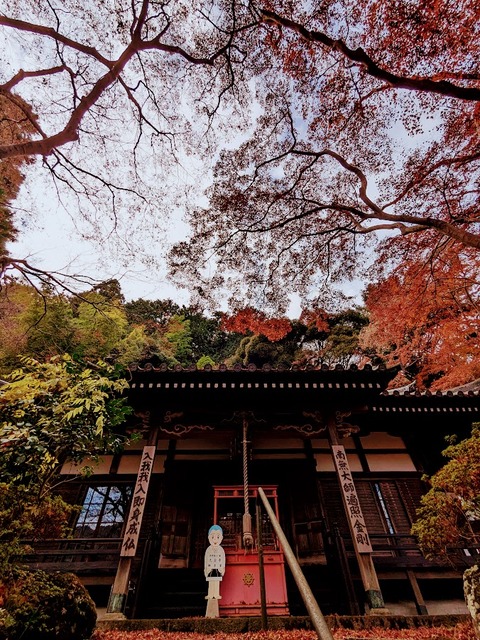 14.御影堂2