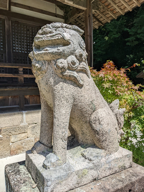狛犬②