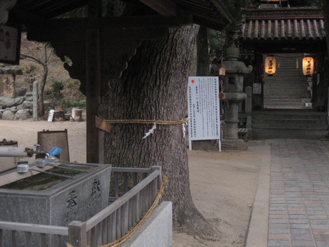 画像 028