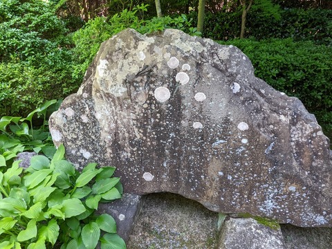大乗院句碑⑨