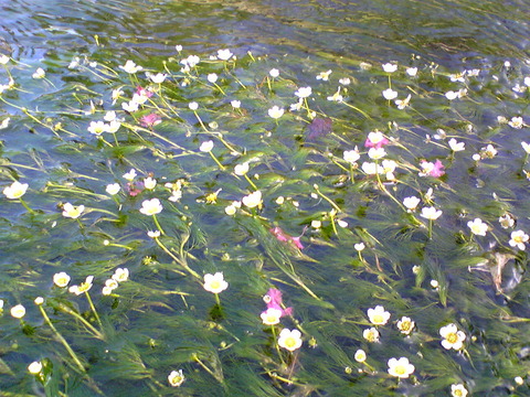 Image007