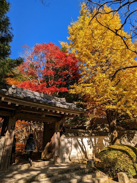 09.本坊