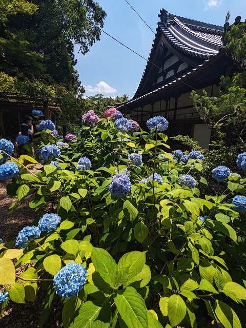 06.東側7