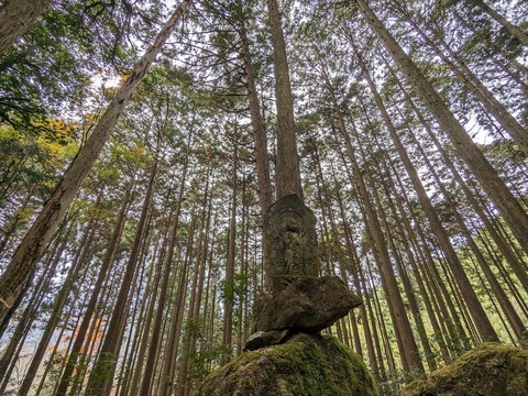 38.山のエリア9