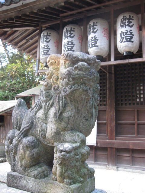 羽曳野・八尾1.17-18 075
