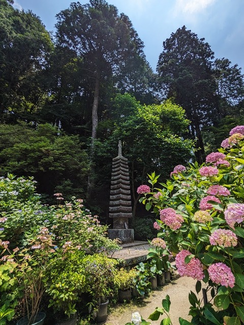 十三重石塔とあじさい