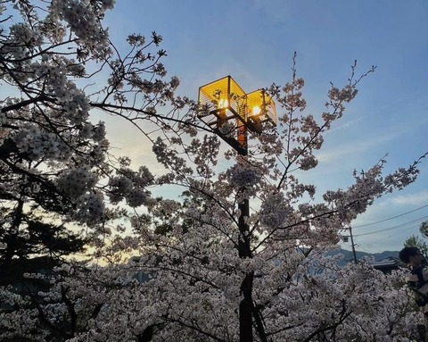02.夙川3