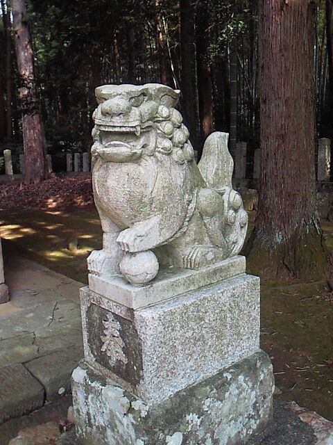 SBCA0024