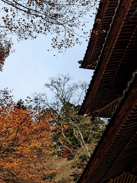 39.三重塔6
