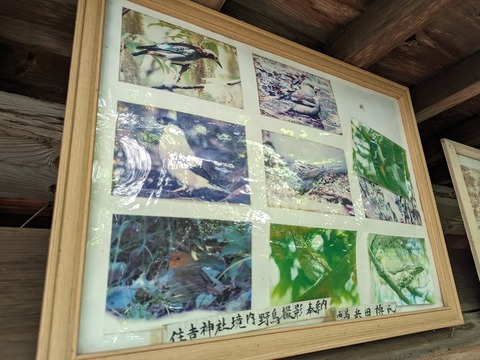 額12