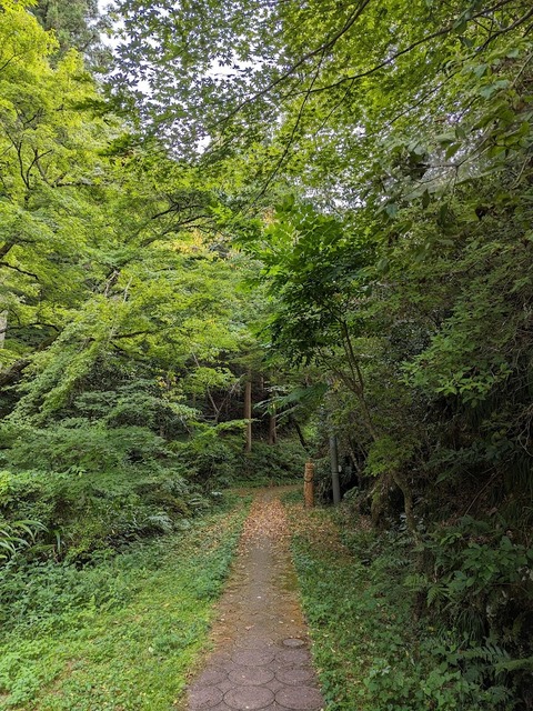 参道