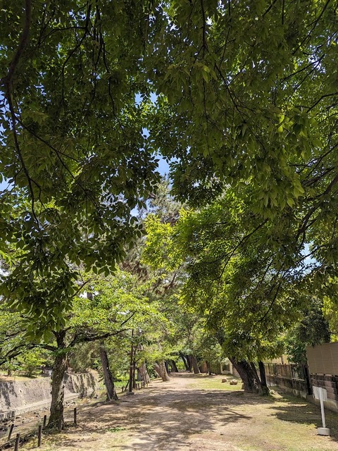05.右岸